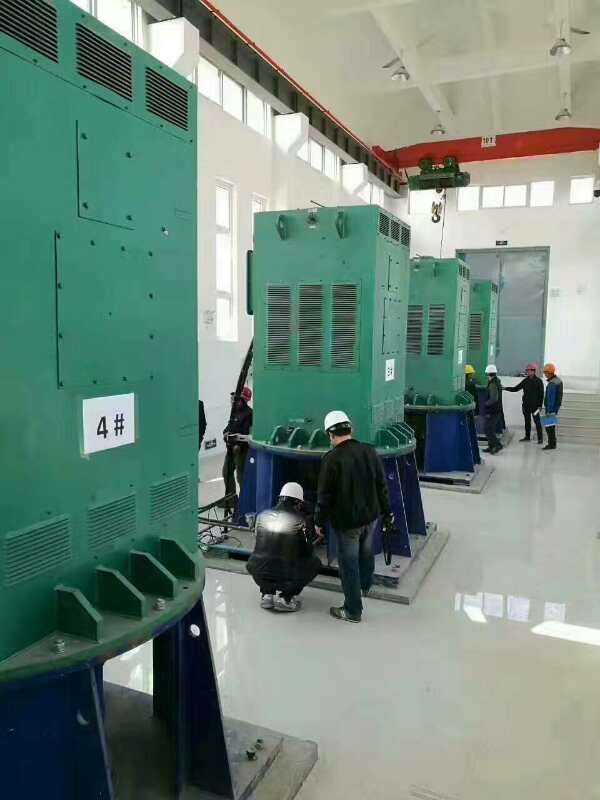宝丰某污水处理厂使用我厂的立式高压电机安装现场